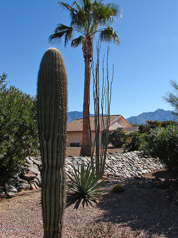14500 North Line Post Lane Tucson, AZ 85755 - Photo 32 of 35