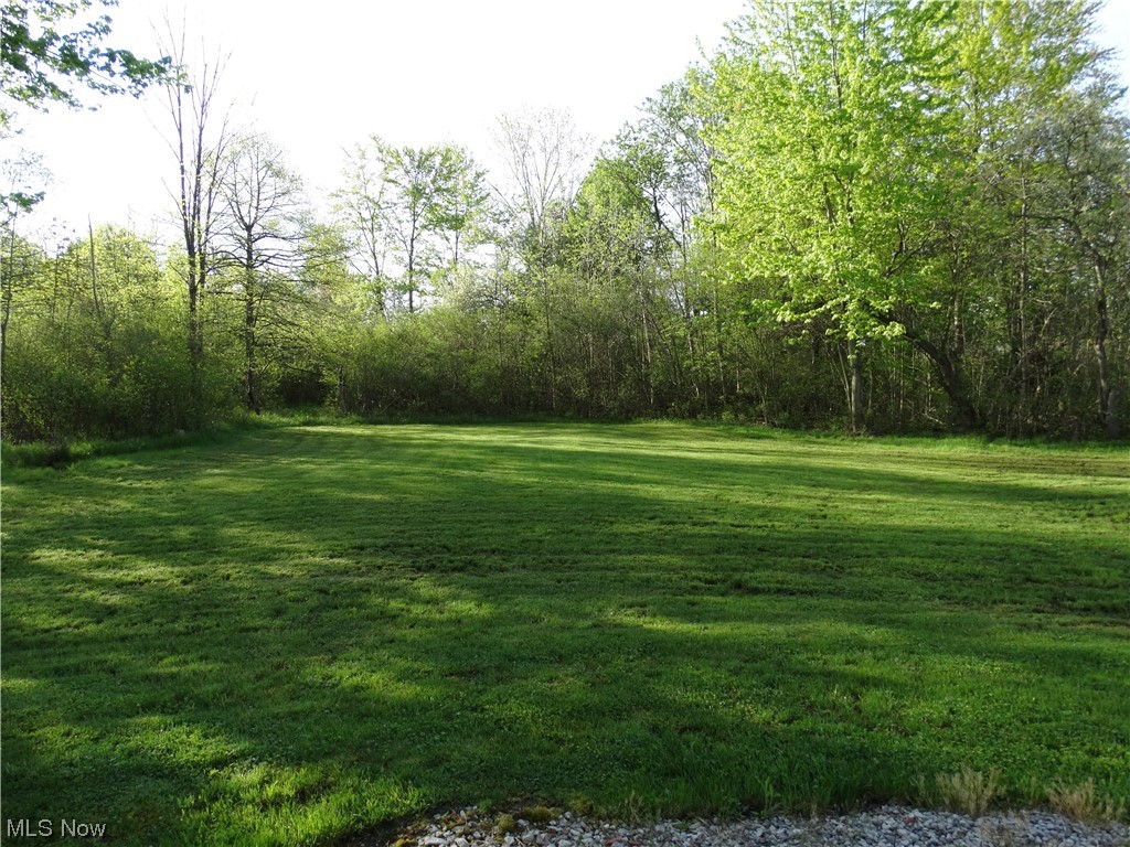 4100 Dayton Road Madison, OH 44057 - Photo 10 of 25 The view from the front of the home.
