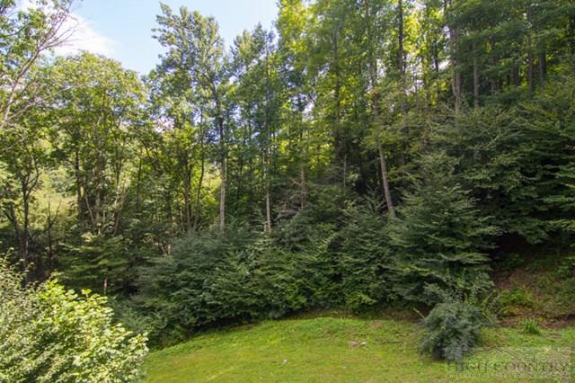 418 Old Clayton Greene Road Boone, NC 28607 - Photo 29 of 43 Gallery Image 29