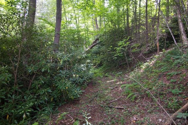 418 Old Clayton Greene Road Boone, NC 28607 - Photo 30 of 43 Gallery Image 30