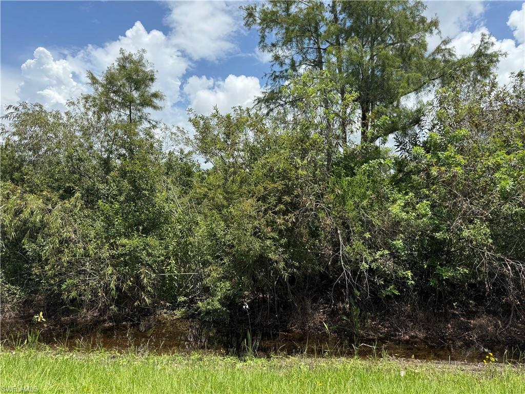 39th Avenue Northeast Naples, FL 34120 - Photo 1 of 5 a view of a yard