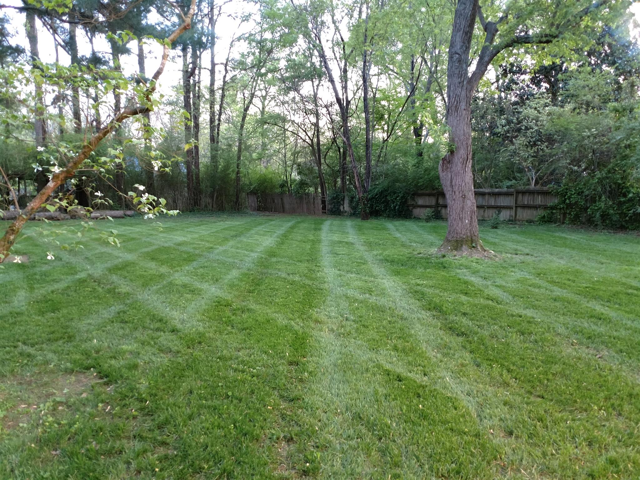1 1/2 Flat Acres - This is Hard to Find in the Heart of Franklin Close to Downtown