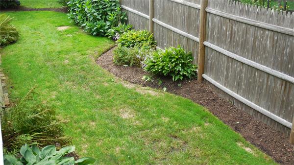 13 Clovelly Road Wellesley, MA 02481 - Photo 8 of 21