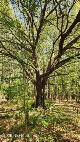 $72,500 | 4400 Falcon Run Lane, Middleburg, FL 32068