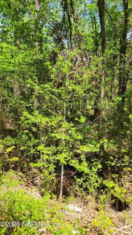 $72,500 | 4400 Falcon Run Lane, Middleburg, FL 32068