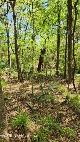 $72,500 | 4400 Falcon Run Lane, Middleburg, FL 32068