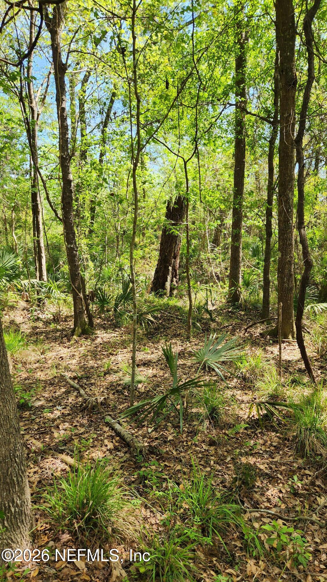 4400 Falcon Run Lane Middleburg, FL 32068 - Photo 12 of 22 20250327_142828