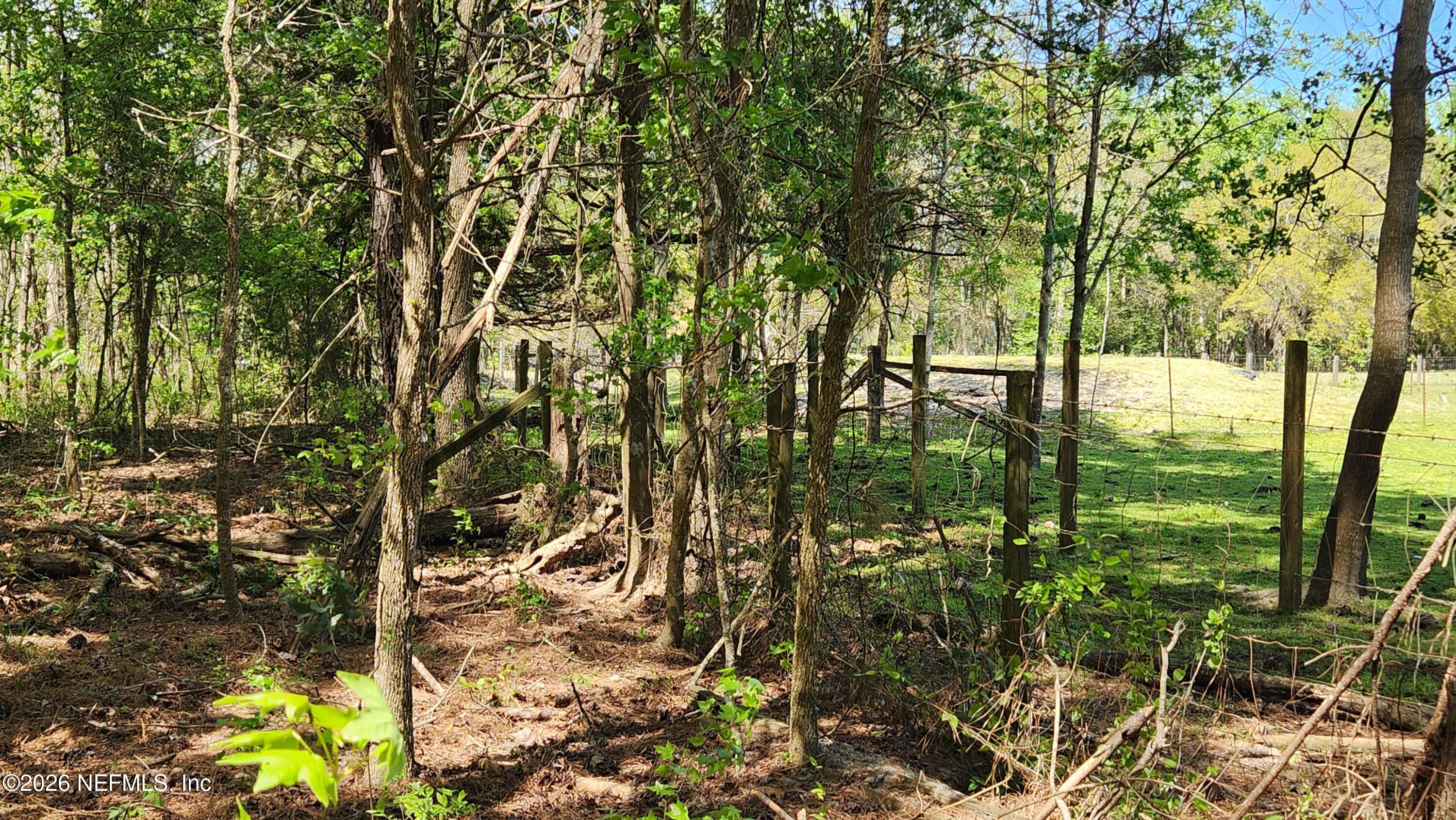 4400 Falcon Run Lane Middleburg, FL 32068 - Photo 13 of 22 20250327_143630