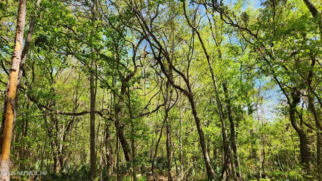 $72,500 | 4400 Falcon Run Lane, Middleburg, FL 32068