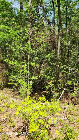 $72,500 | 4400 Falcon Run Lane, Middleburg, FL 32068