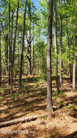 $72,500 | 4400 Falcon Run Lane, Middleburg, FL 32068