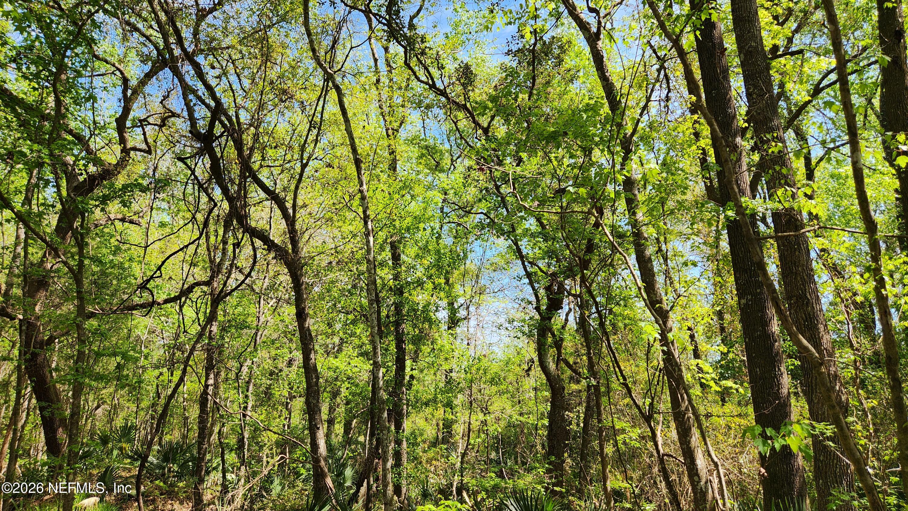 4400 Falcon Run Lane Middleburg, FL 32068 - Photo 18 of 22 20250327_142741