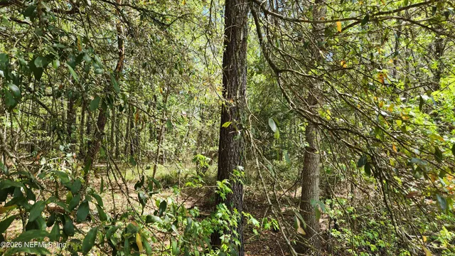 $72,500 | 4400 Falcon Run Lane, Middleburg, FL 32068