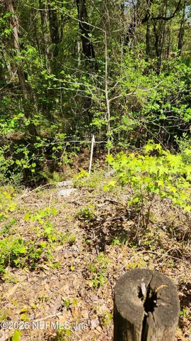 $72,500 | 4400 Falcon Run Lane, Middleburg, FL 32068