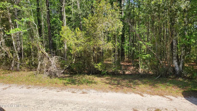 $72,500 | 4400 Falcon Run Lane, Middleburg, FL 32068