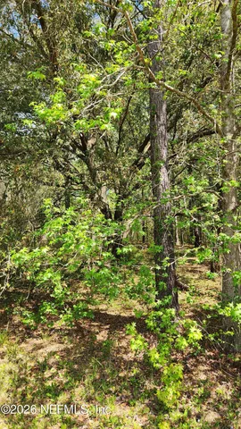 $72,500 | 4400 Falcon Run Lane, Middleburg, FL 32068