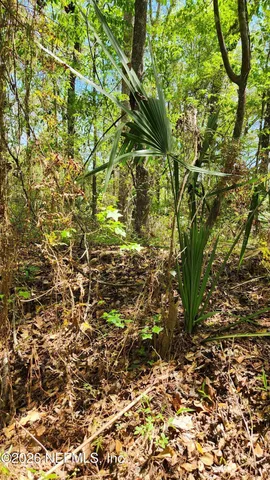 $72,500 | 4400 Falcon Run Lane, Middleburg, FL 32068