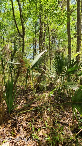 $72,500 | 4400 Falcon Run Lane, Middleburg, FL 32068