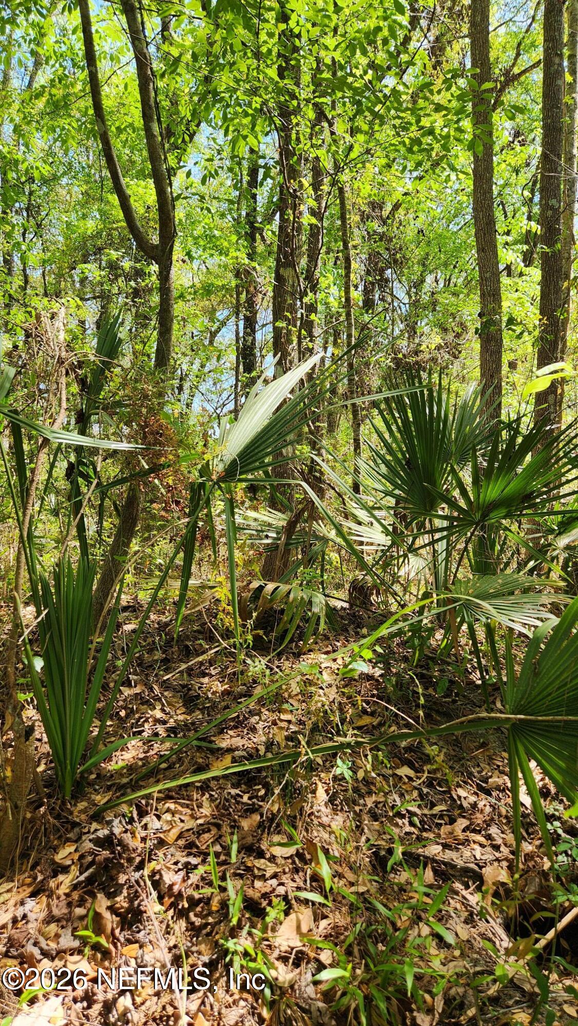 4400 Falcon Run Lane Middleburg, FL 32068 - Photo 6 of 22 20250327_142413