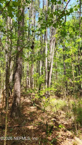 $72,500 | 4400 Falcon Run Lane, Middleburg, FL 32068