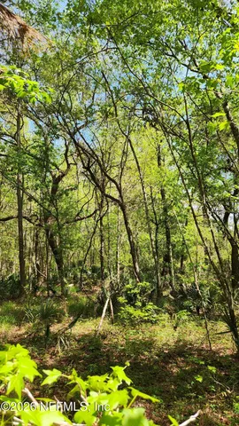 $72,500 | 4400 Falcon Run Lane, Middleburg, FL 32068