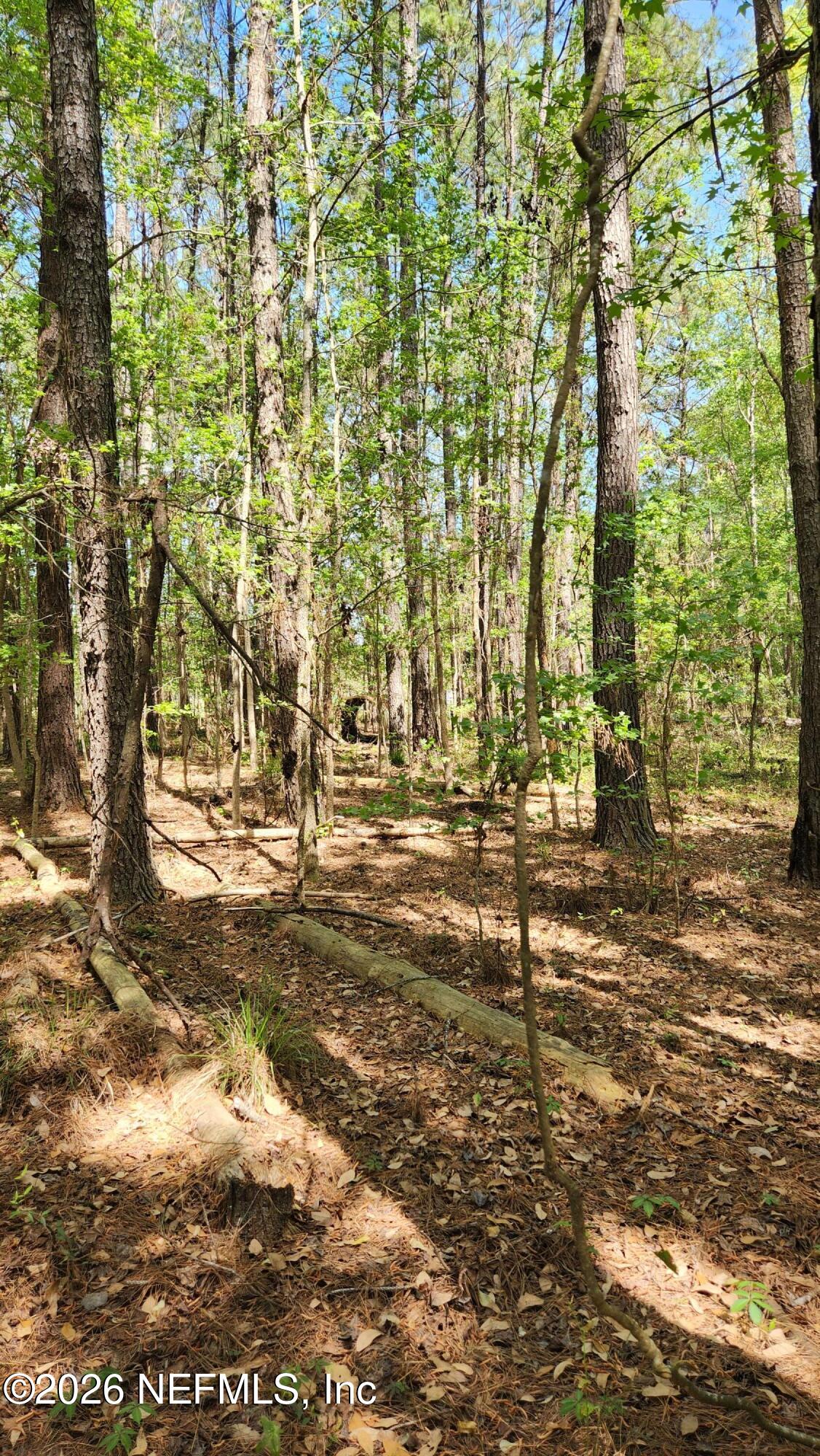 4400 Falcon Run Lane Middleburg, FL 32068 - Photo 9 of 22 20250327_143118