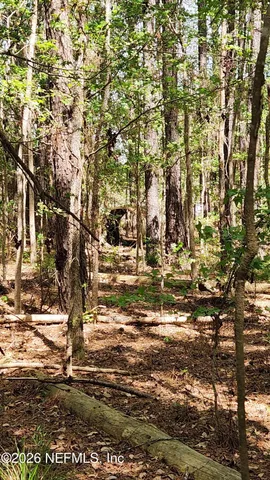 $72,500 | 4400 Falcon Run Lane, Middleburg, FL 32068