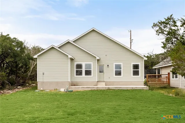 a very nice looking yard with a large tree