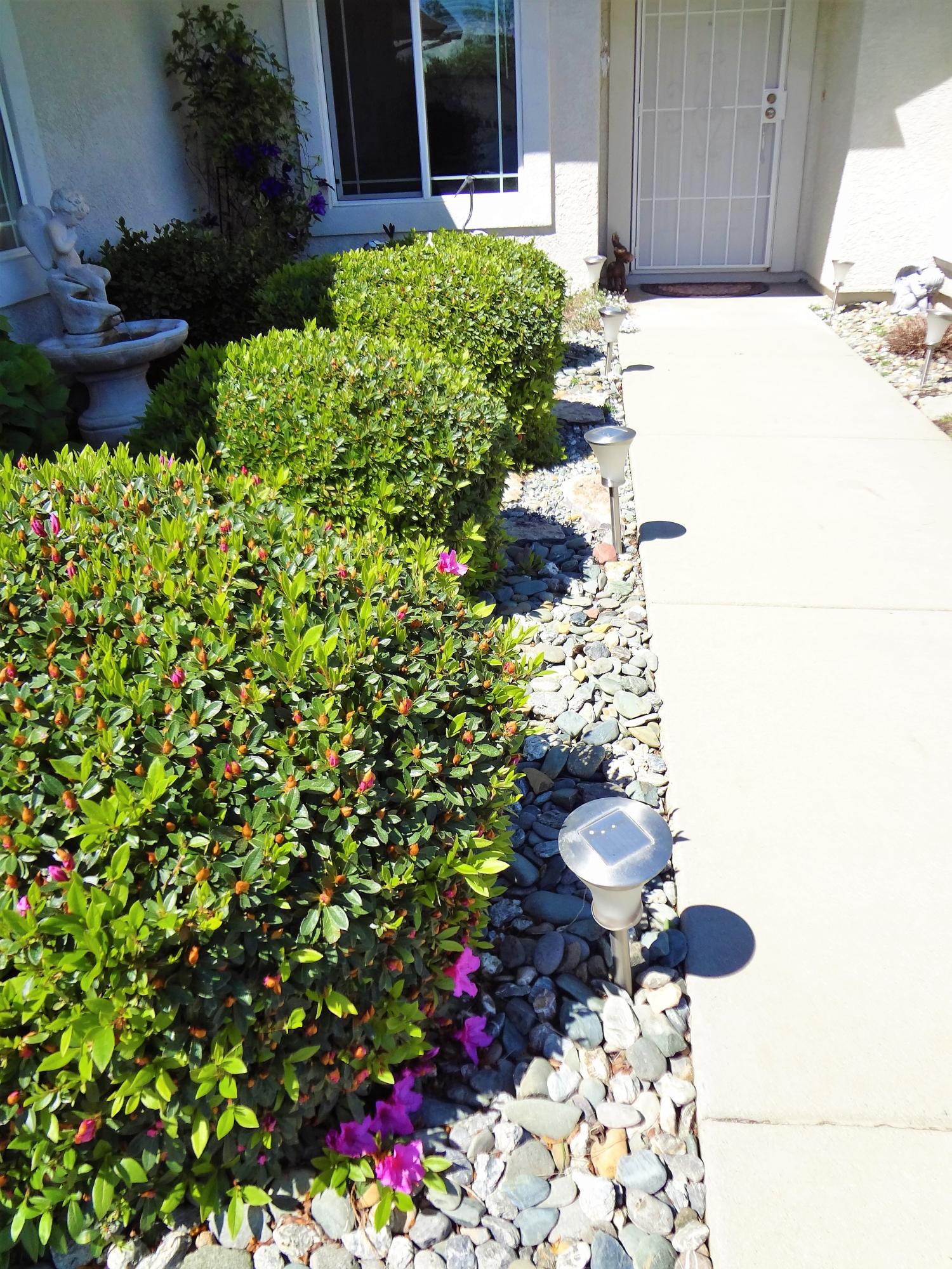 7759 Pit Road Redding, CA 96001 - Photo 3 of 47 a bunch of flowers are in a garden