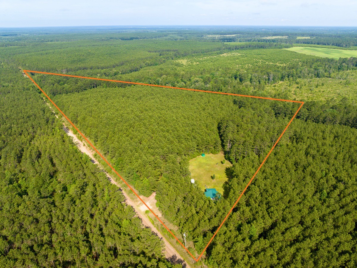 1 South Caney Road Groveton, TX 75845 - Photo 1 of 24
