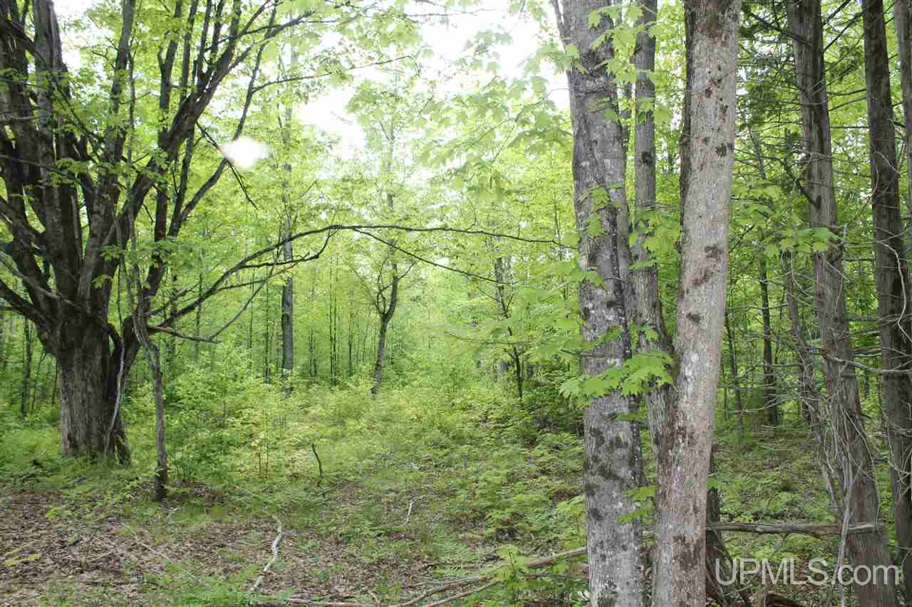 Tbd Off Kyllonen Road, Unit LAT 46 75685 LON 88 7526 Nisula, MI 49952 - Photo 11 of 24