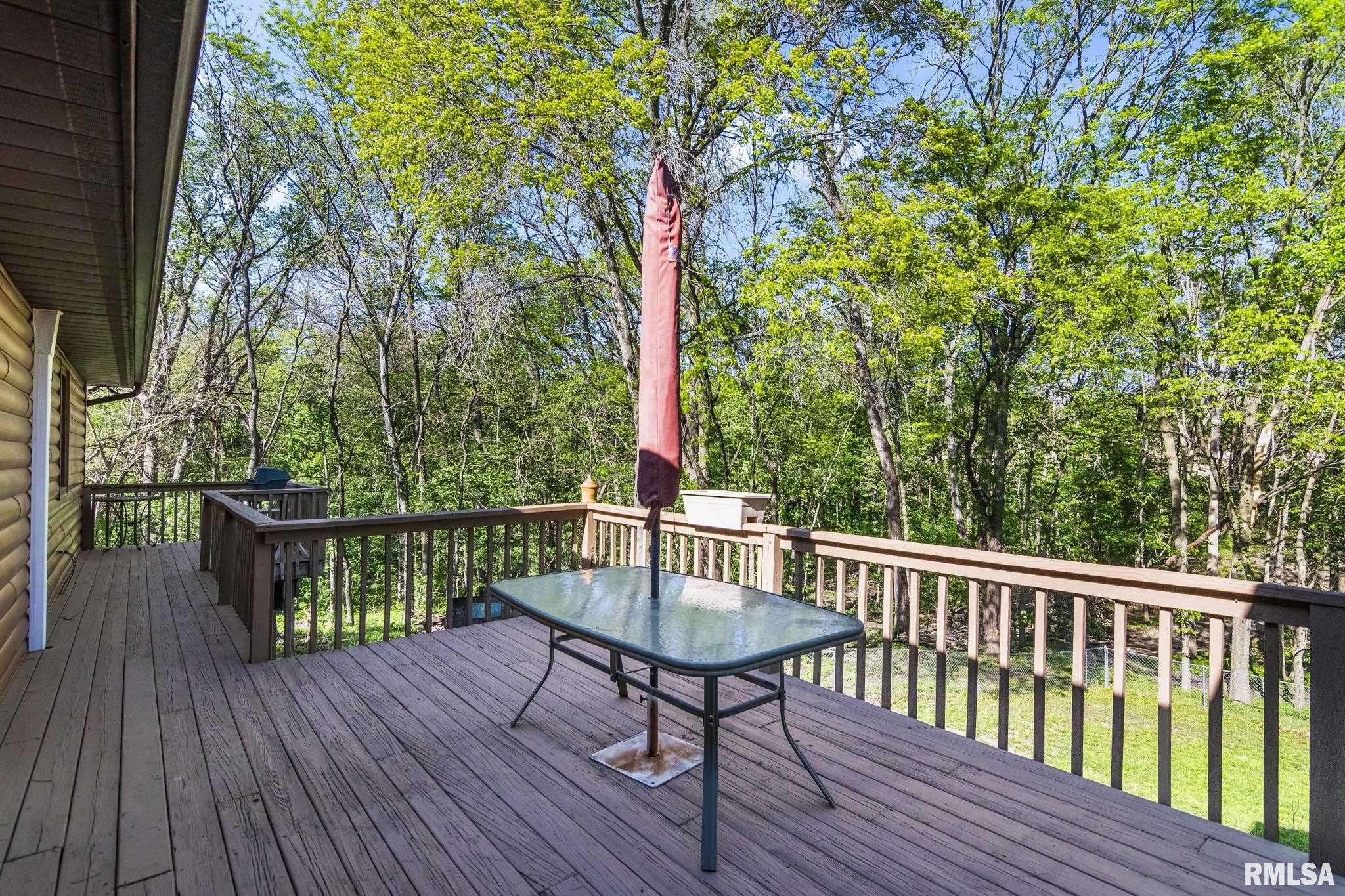 5764 Altmans Road Pleasant Plains, IL 62677 - Photo 41 of 56