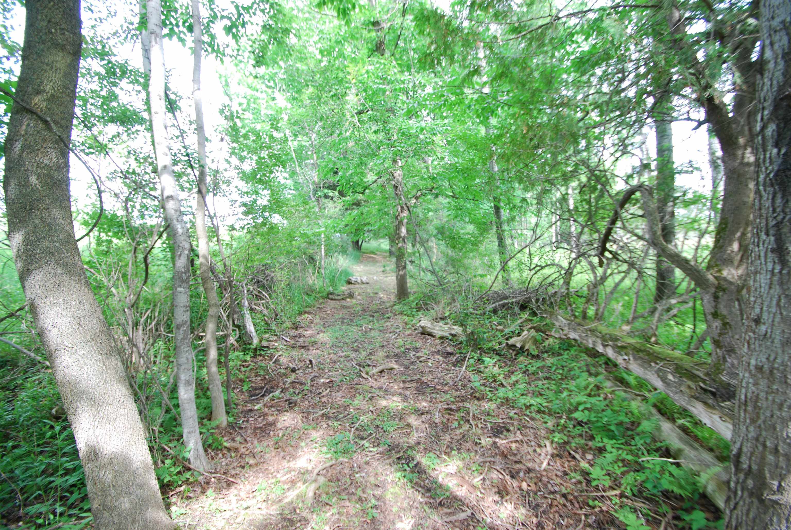 1265 South Dow Road West Branch, MI 48661 - Photo 50 of 55 1947359-e50cdf86-c0eb-45df-9223-53181cb02228.JPG