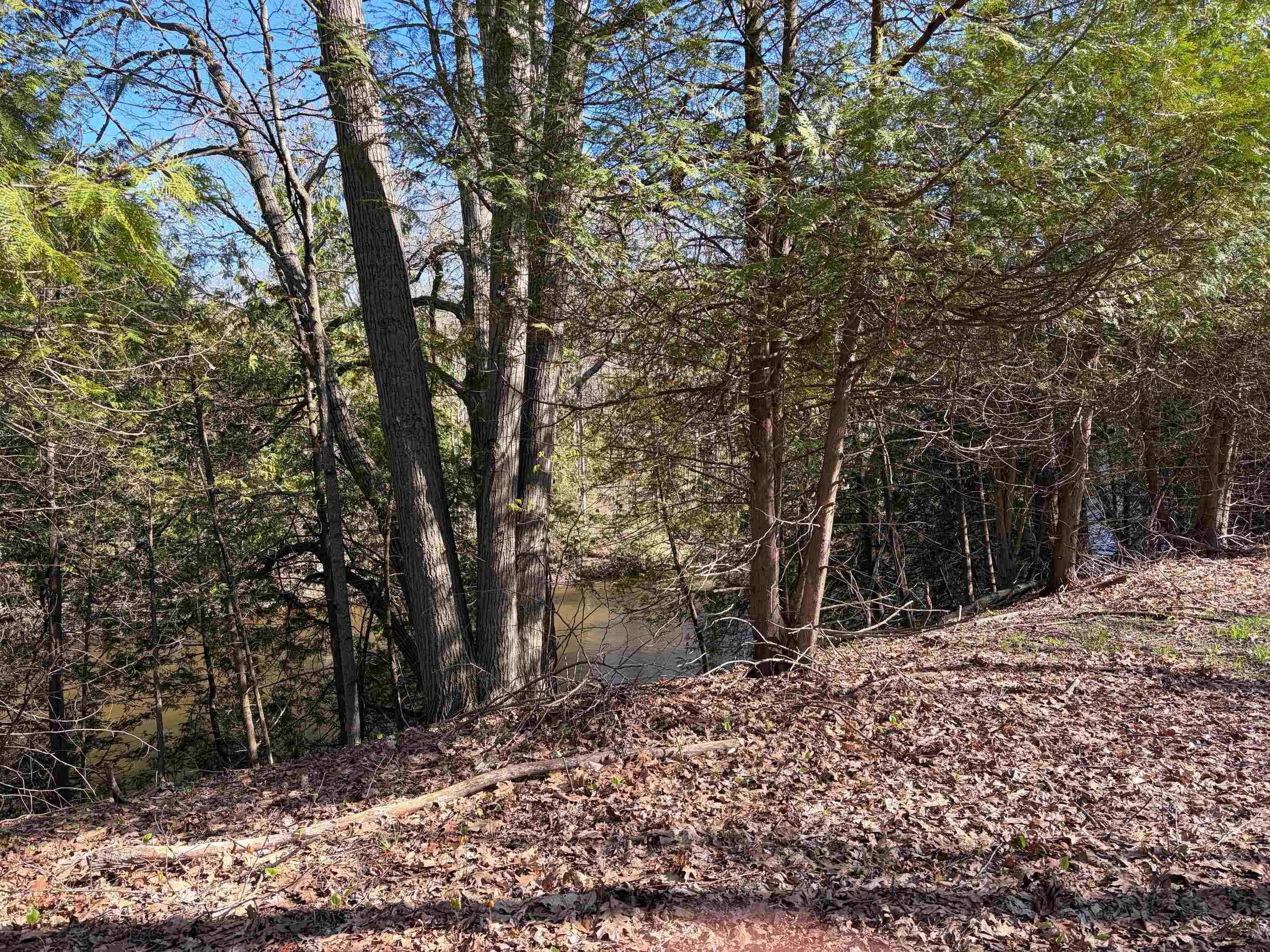 Tbd South Loomis Road Mount Pleasant, MI 48858 - Photo 3 of 5