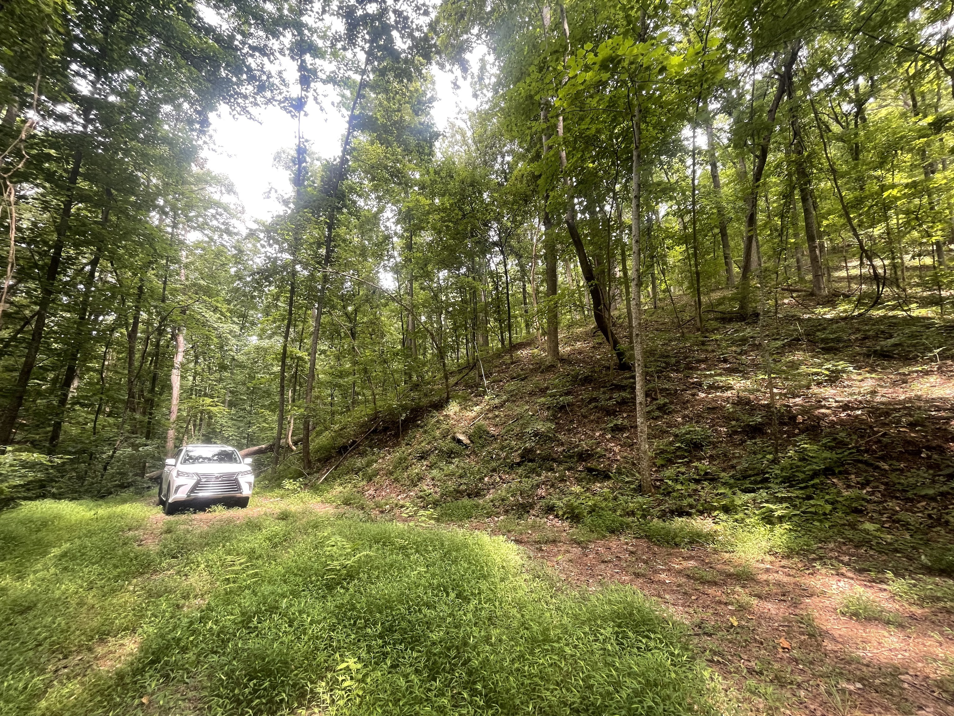 674 Archery Court Ranger, GA 30734 - Photo 3 of 12 a backyard of a house with trees