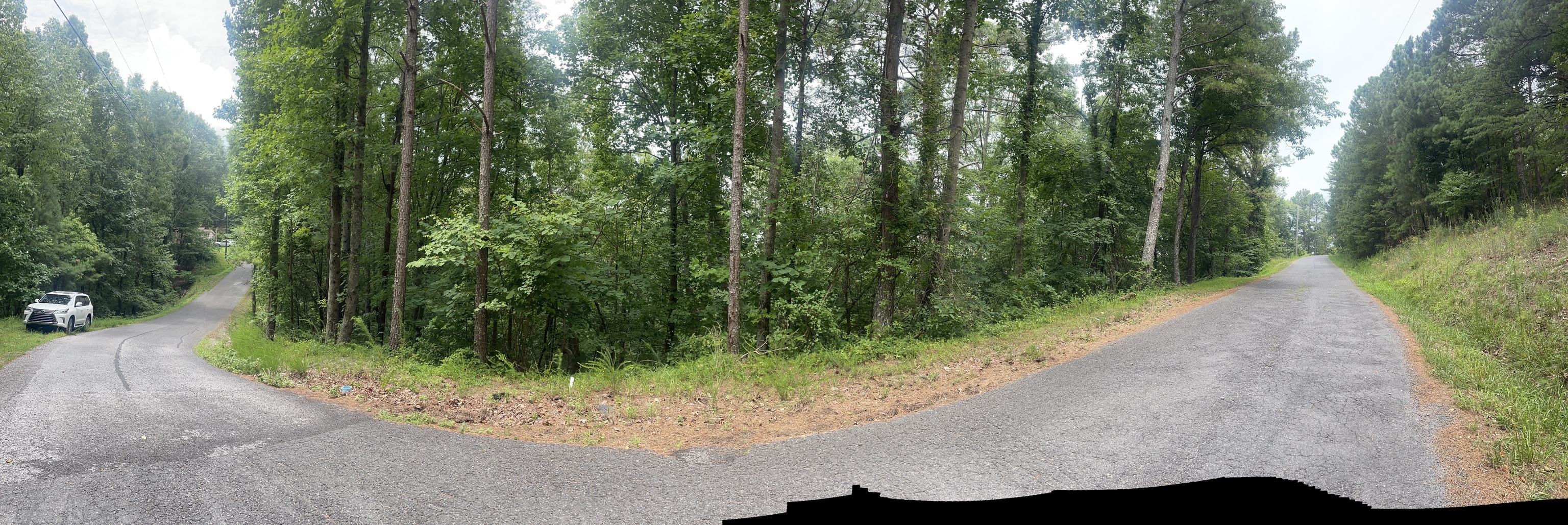 674 Archery Court Ranger, GA 30734 - Photo 4 of 12 a view of a plants and trees in the background