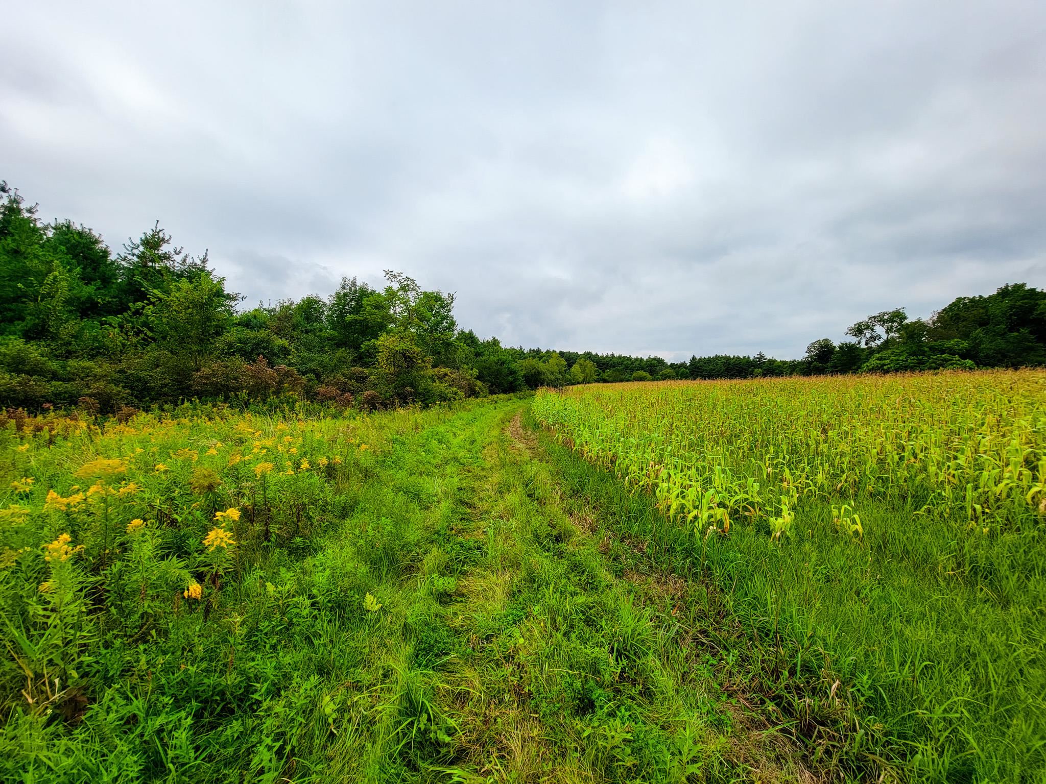 265 Quarry Road Sudbury, VT 05733 - Photo 36 of 40
