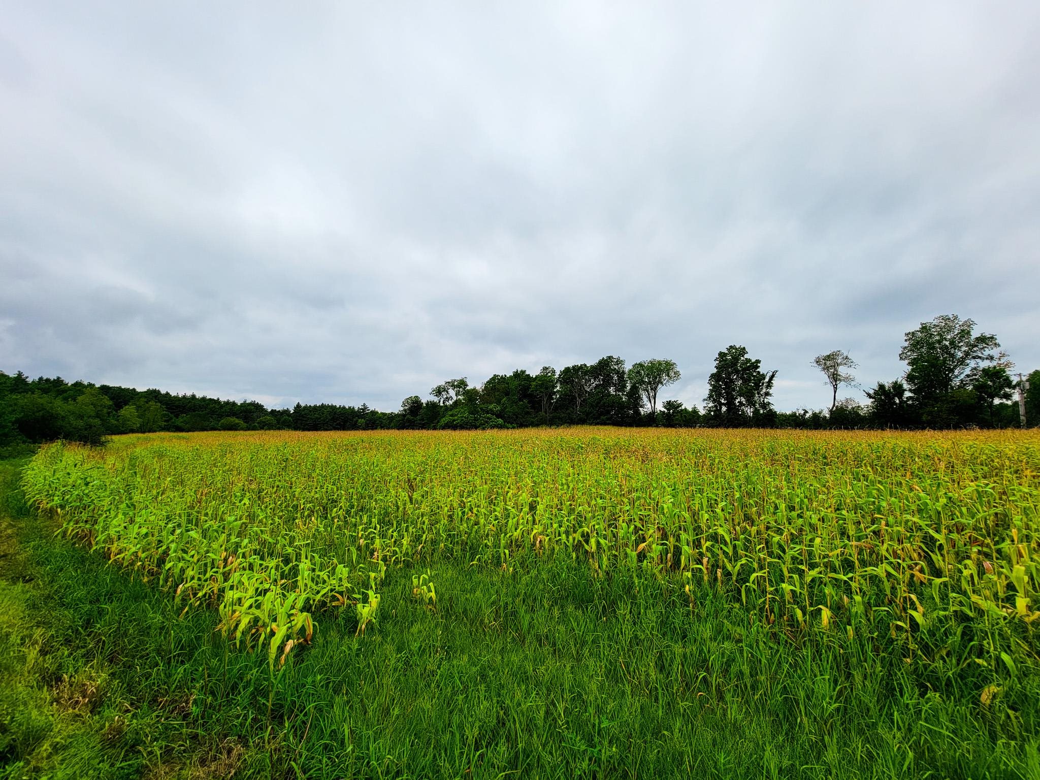 265 Quarry Road Sudbury, VT 05733 - Photo 39 of 40