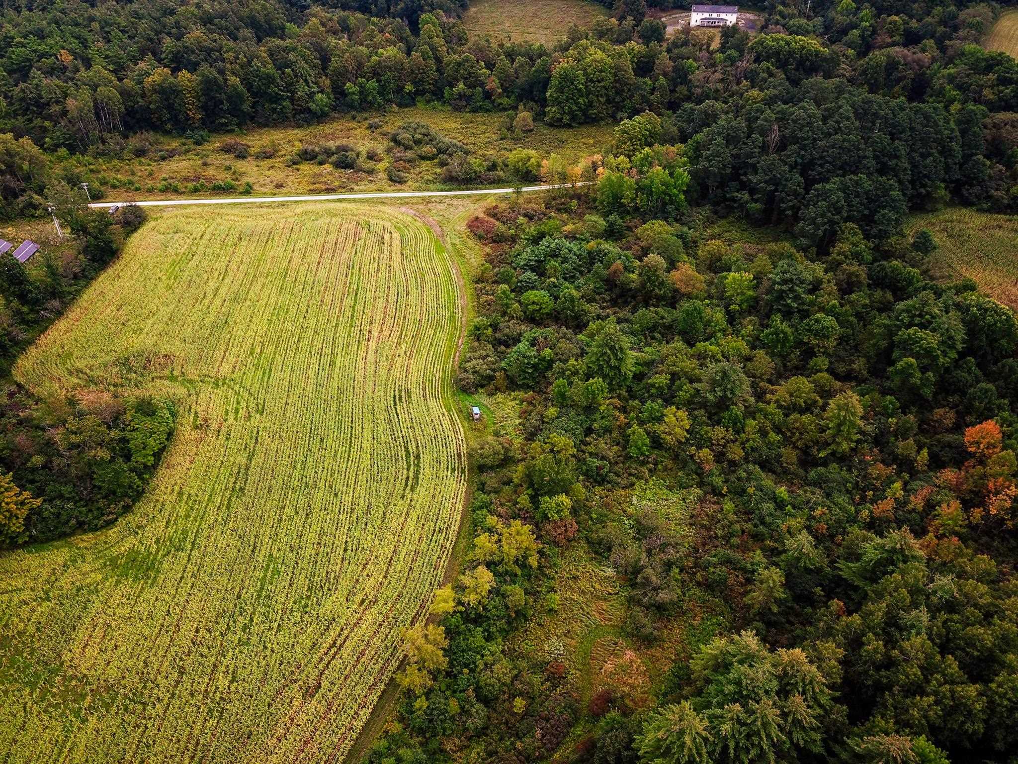 265 Quarry Road Sudbury, VT 05733 - Photo 40 of 40