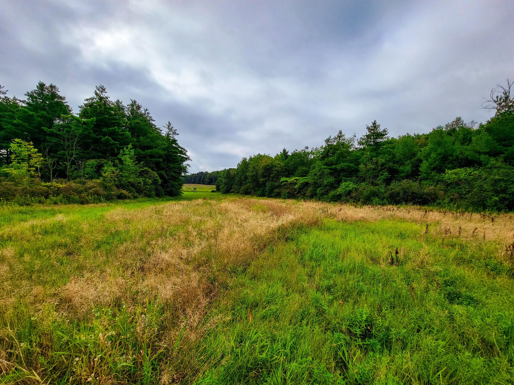 265 Quarry Road Sudbury, VT 05733 - Photo 4 of 40