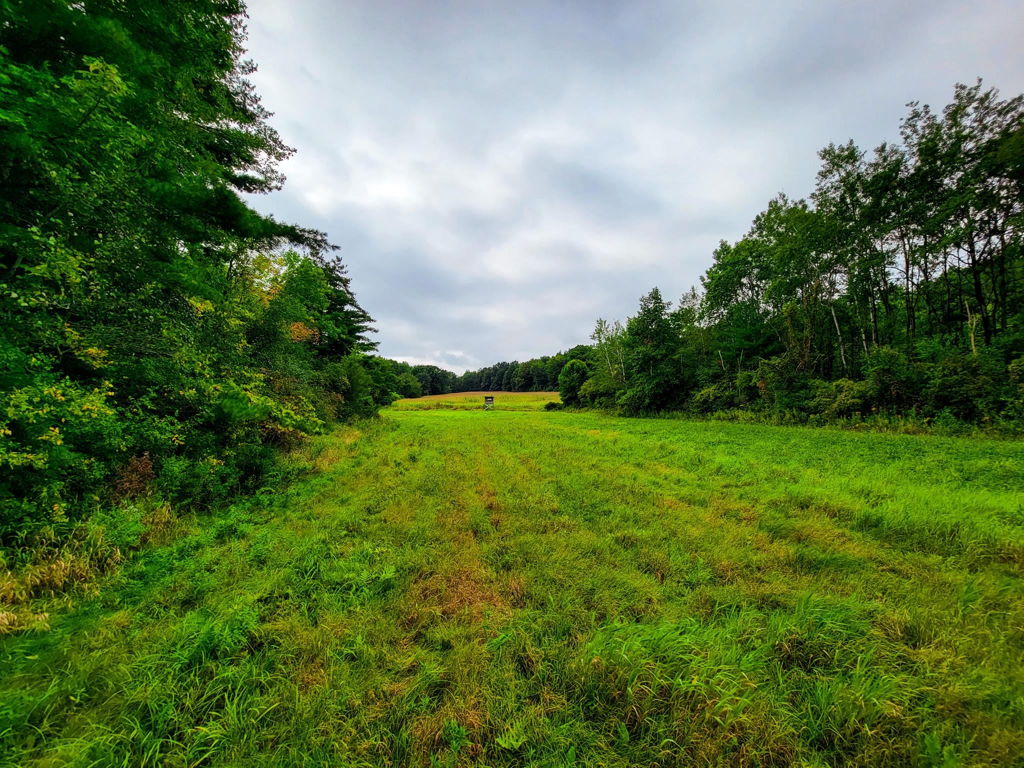 265 Quarry Road Sudbury, VT 05733 - Photo 5 of 40