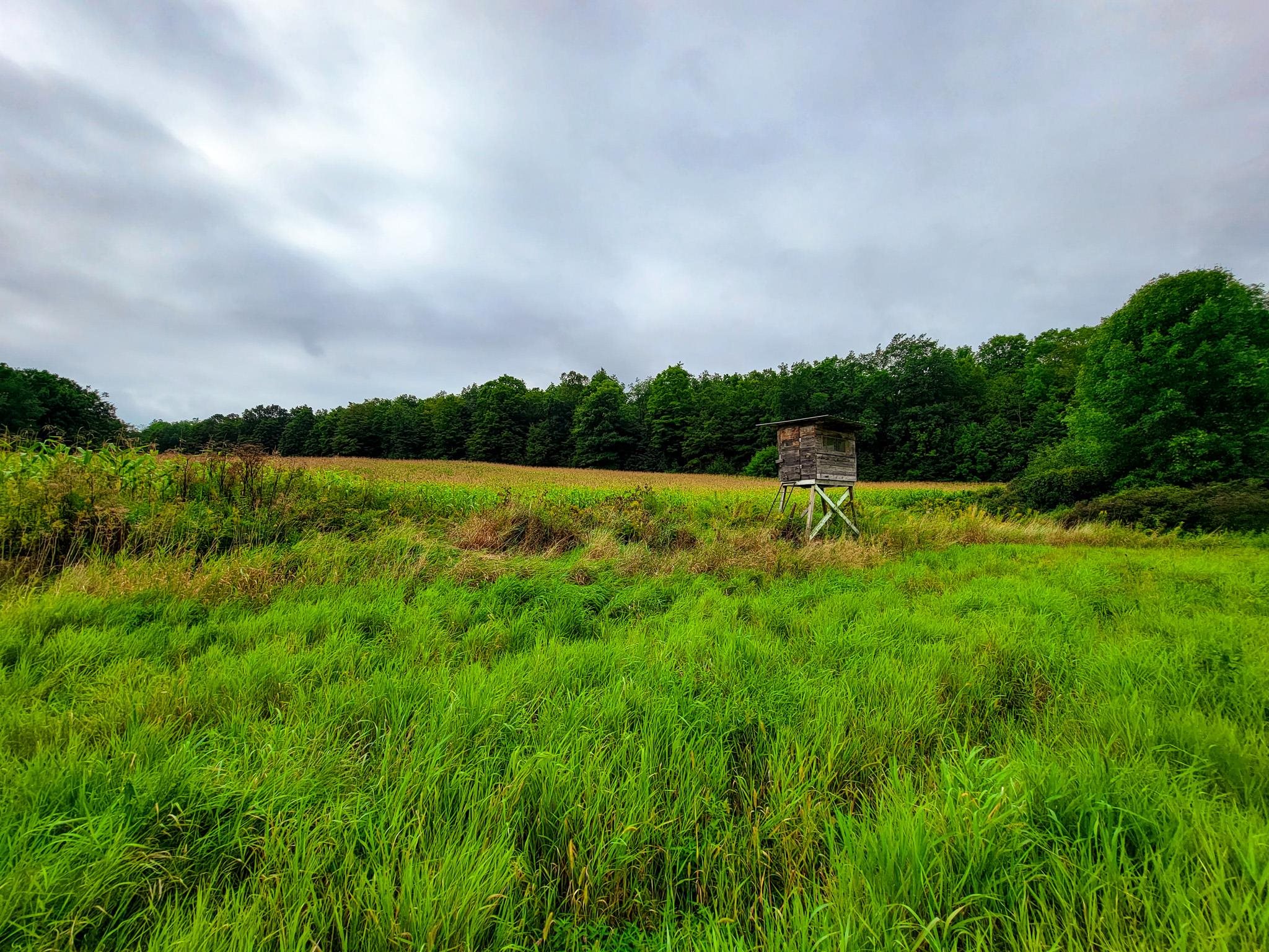 265 Quarry Road Sudbury, VT 05733 - Photo 6 of 40