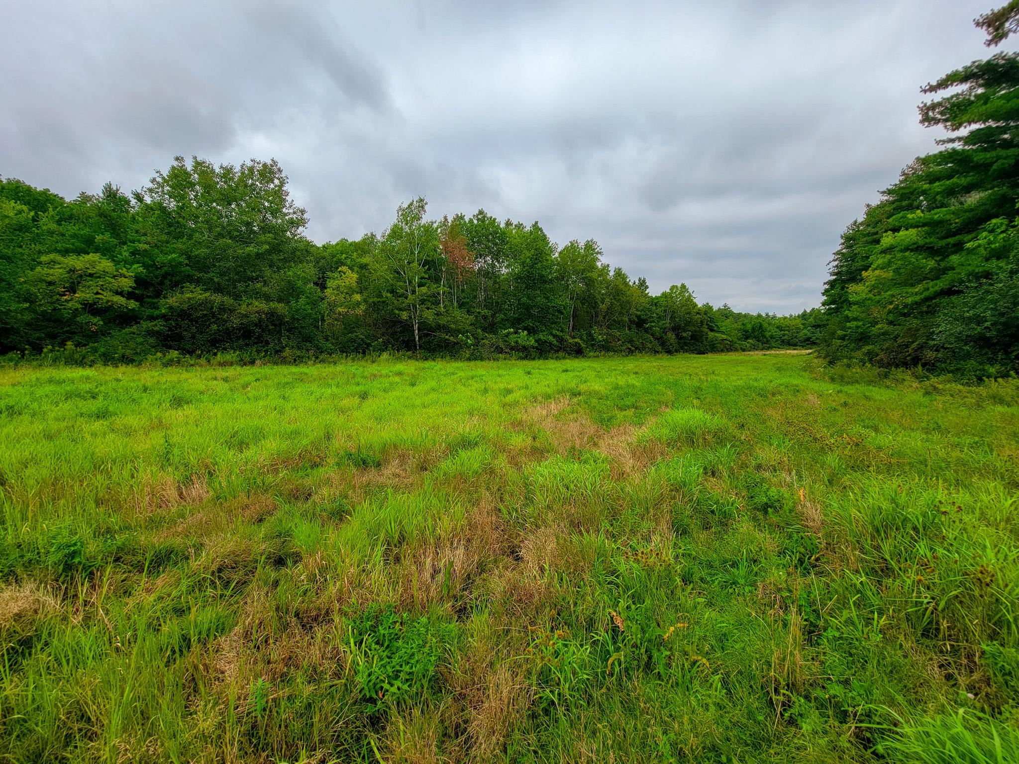 265 Quarry Road Sudbury, VT 05733 - Photo 7 of 40