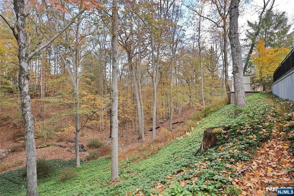 164 Deerhaven Road Mahwah, NJ 07430 - Photo 41 of 42 a backyard of a house with lots of green space