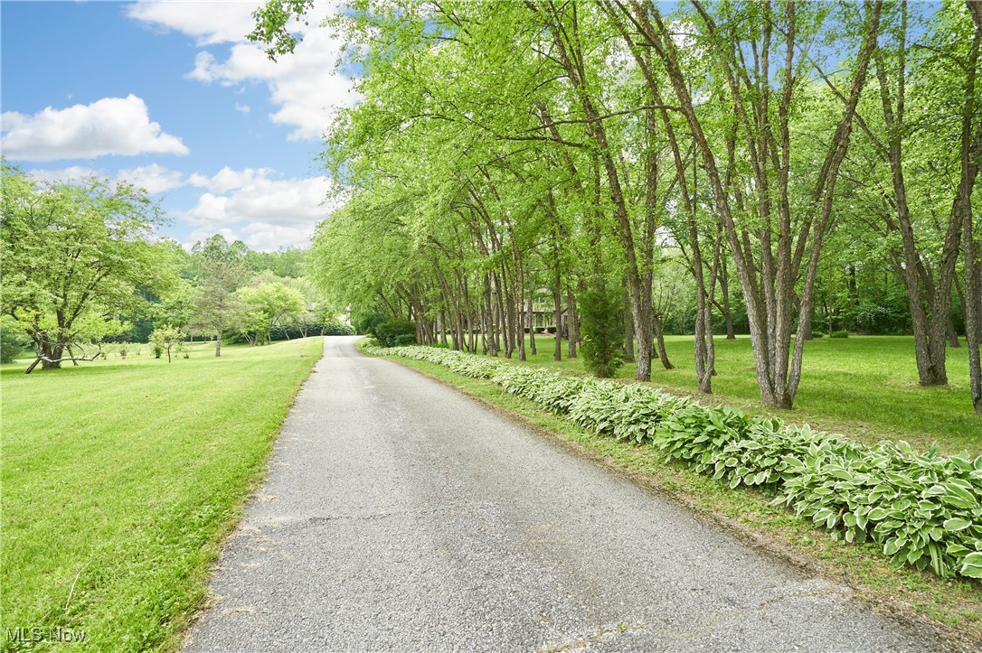 5968 Winchell Road Hiram, OH 44234 - Photo 35 of 43 Long Driveway