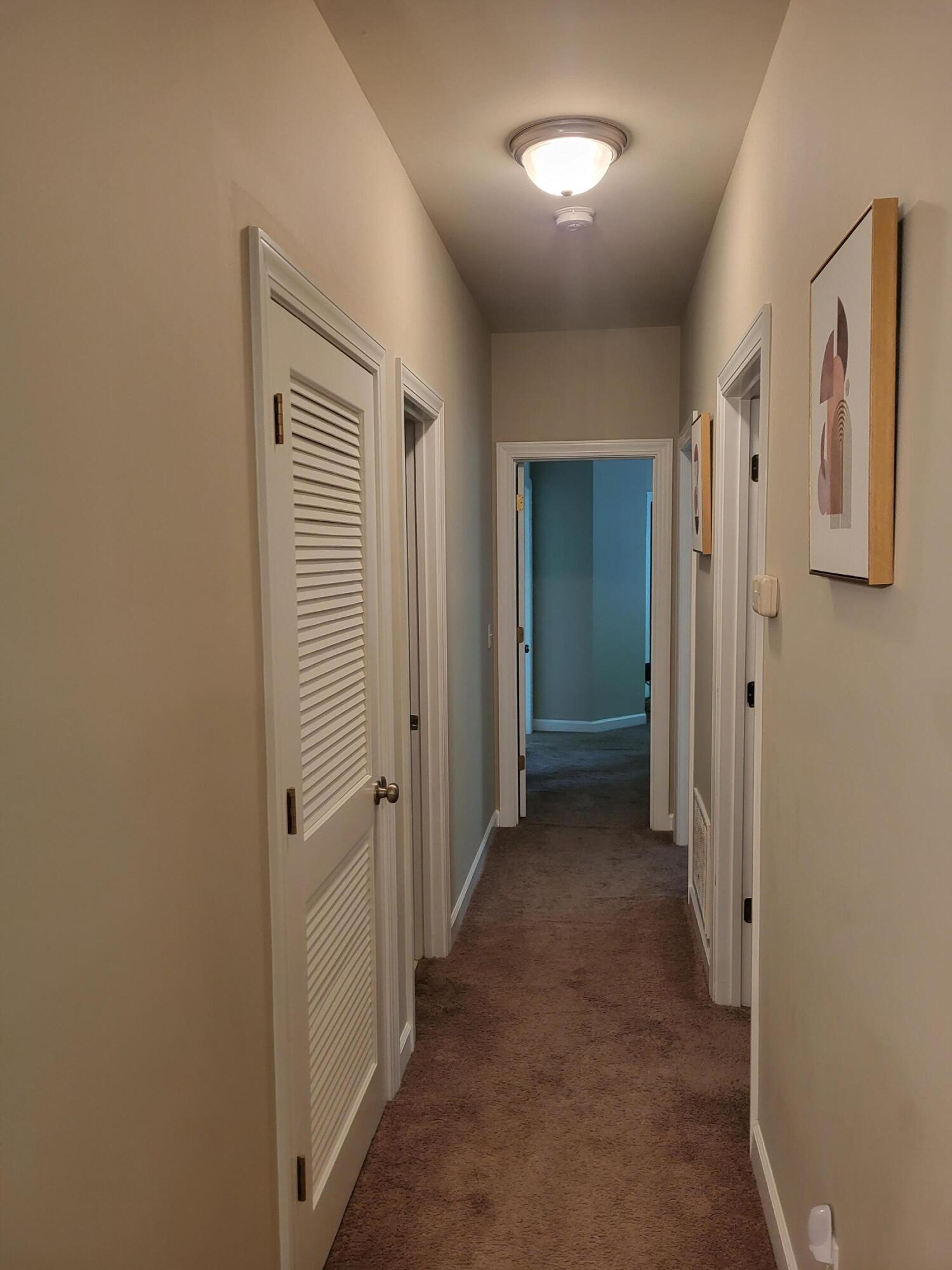 407 South Elgin Court Charleston, SC 29414 - Photo 20 of 41 20240613_143438