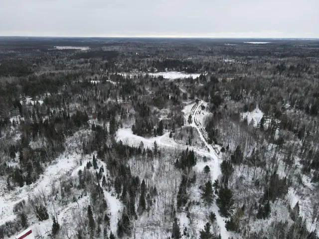 $290,000 | 13396 Funk Road, Hillman, MI 49746