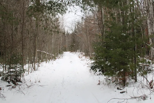 $290,000 | 13396 Funk Road, Hillman, MI 49746