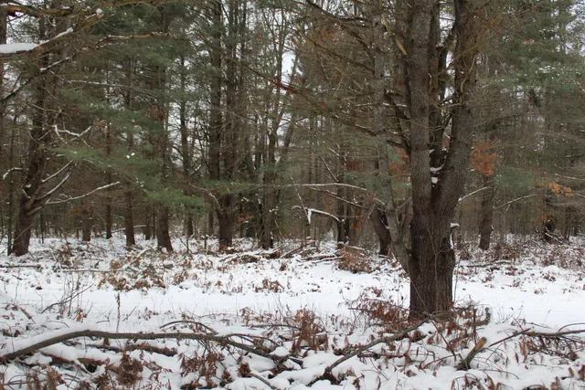 $290,000 | 13396 Funk Road, Hillman, MI 49746