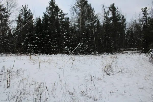 $290,000 | 13396 Funk Road, Hillman, MI 49746